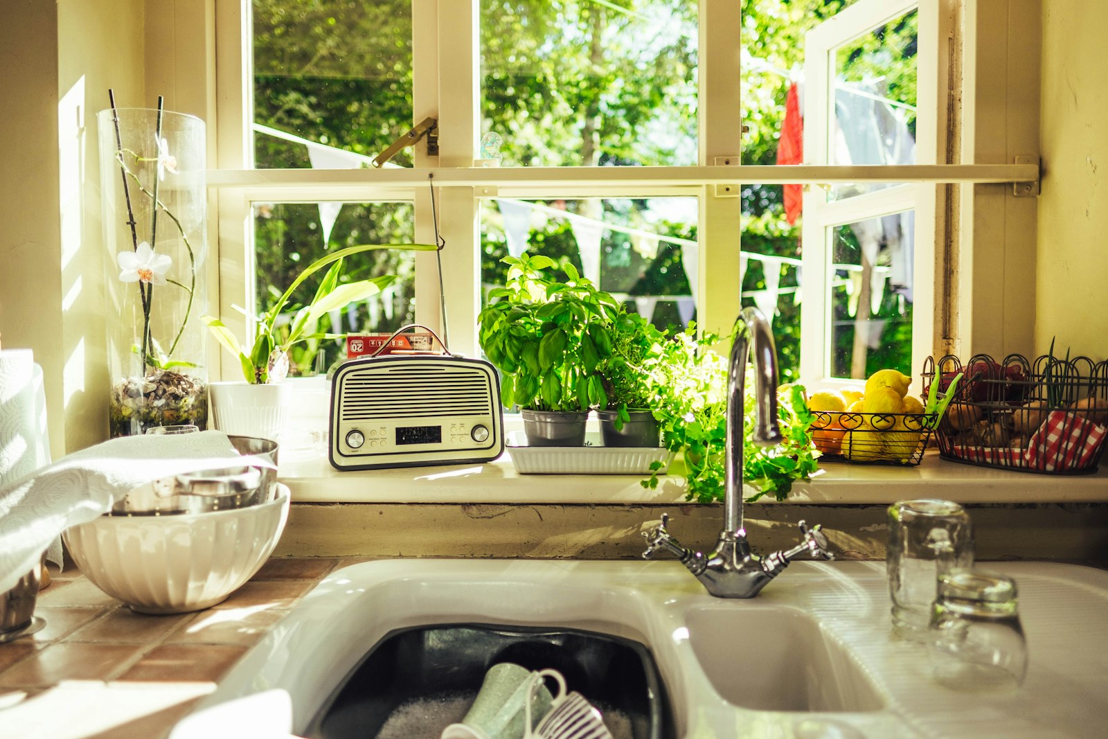 Potatoes, beans, bananas and leafy greens on a kitchen counter